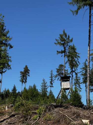 Limesweg, Großer Feldberg und Altkönig Rundweg