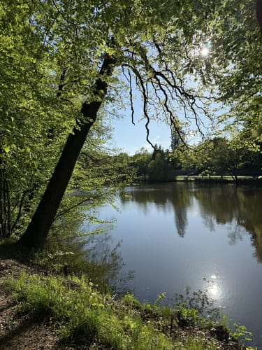 RW02 Großer Bad Helmstedt-Rundweg