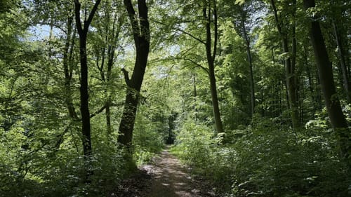 RW02 Großer Bad Helmstedt-Rundweg