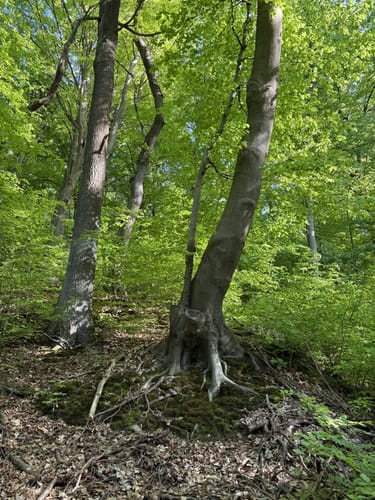 RW02 Großer Bad Helmstedt-Rundweg