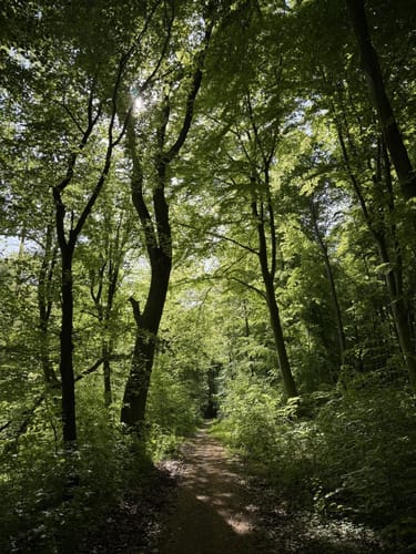RW02 Großer Bad Helmstedt-Rundweg