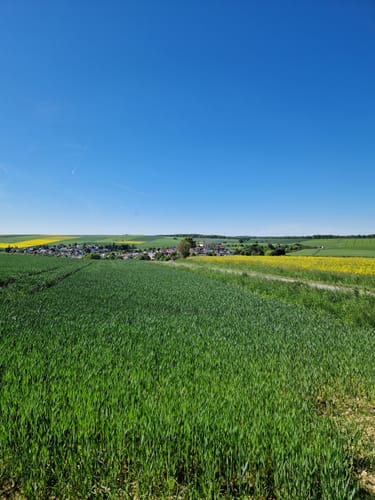 Rundwanderweg Eichhörnchen