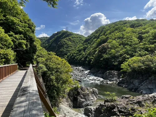 遥かなる山 遥かなる山