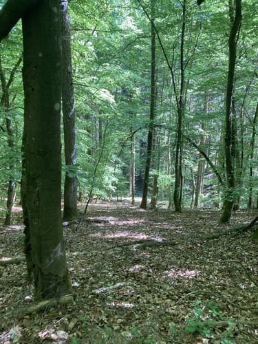 Zum Aussichtspunkt Belvedere