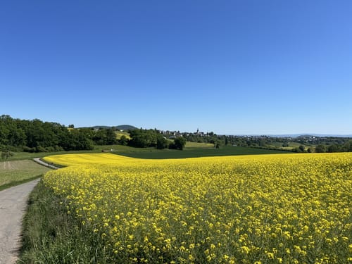 Mendiger Römerreich (Traumpfädchen)