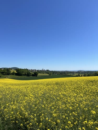Mendiger Römerreich (Traumpfädchen)
