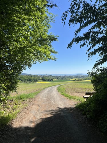 Mendiger Römerreich (Traumpfädchen)