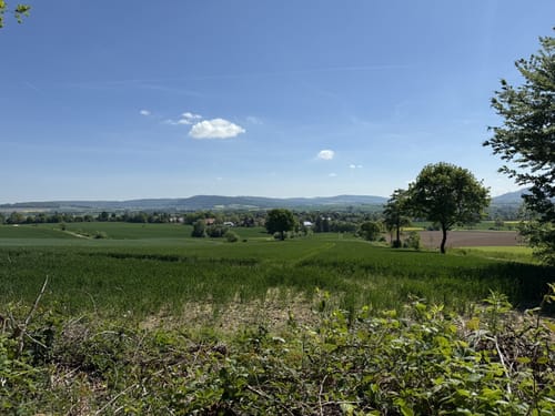 Hameln - Welliehausen