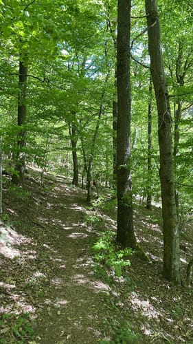 Gemünd - Wolfgarten Rundwanderung