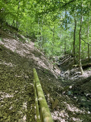Gemünd - Wolfgarten Rundwanderung