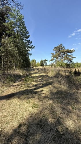 Das Heilsmoor