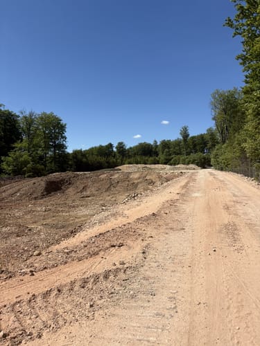 Rund um die Waldstrasse