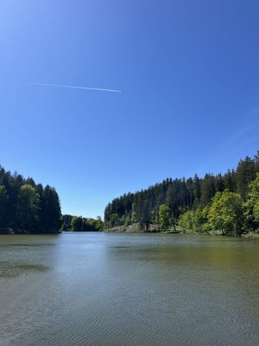 Thanninger Weiher Rundwanderweg