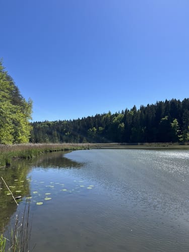Thanninger Weiher Rundwanderweg