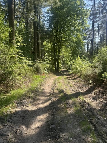 Rosengarten - Hülsenberg - Hasselbrack