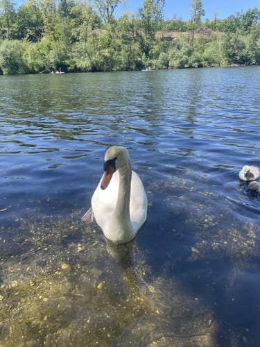 Um den Heider Bergsee