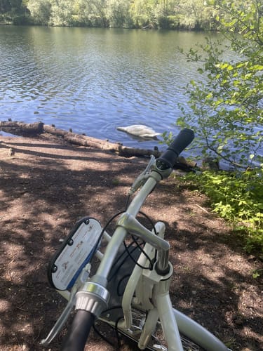 Um den Heider Bergsee