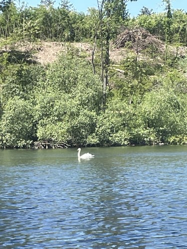 Um den Heider Bergsee