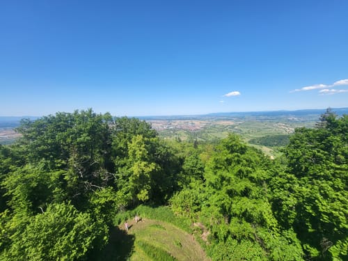 Amoltern Zur KatharinenKappelle