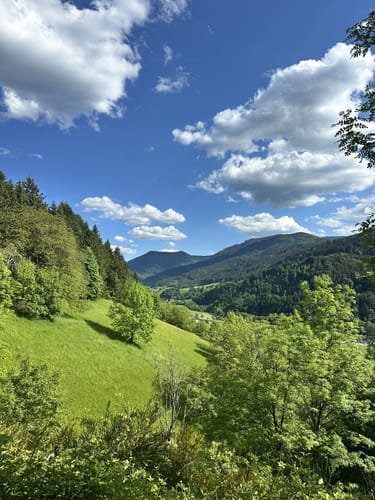 Walderlebnispfad Hörnleberg