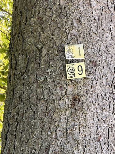 Runde im Raitenbucher Forst