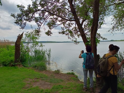 Blankensee Rundweg zum Vogelbeobachtungsturm