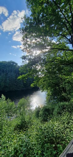 Oberwaldsee und Vogelsberger See