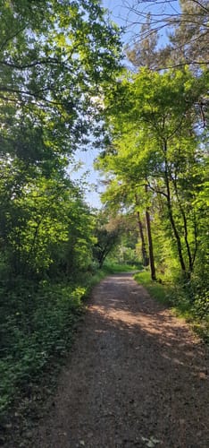 Oberwaldsee und Vogelsberger See