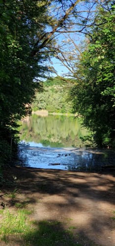 Oberwaldsee und Vogelsberger See