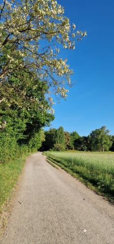 Oberwaldsee und Vogelsberger See