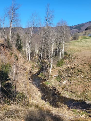 Innerlehen - Reggenbach - Bernau