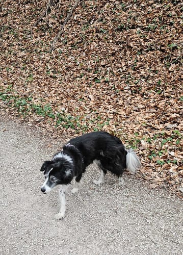 Kleine Geisbergrunde