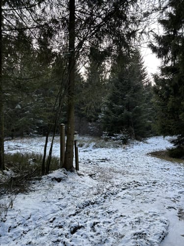Kaiser-Karl-Weg Blau (Konzen) [CLOSED]