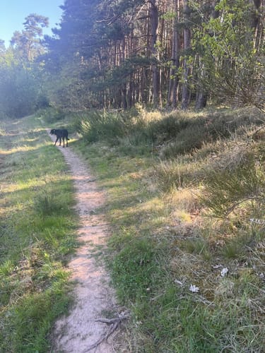 Rottenbach: Kneip(p)entour
