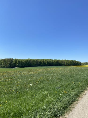 Zur Ruine Briel