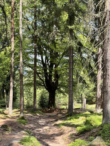 Luisenburg - Haberstein -Felsenlabyrinth