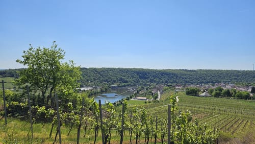 Käsbergkanzel ab Hessigheim