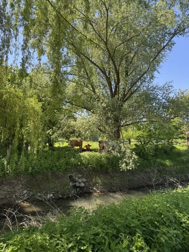 Lippenauenweg (L1) Lippstadt