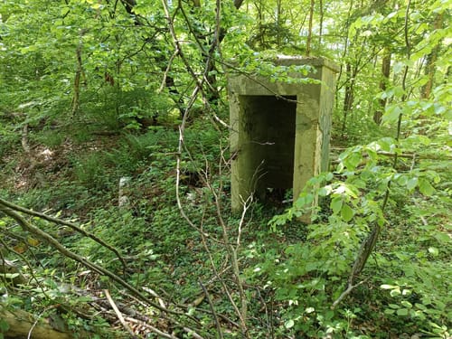 Reihersee ab Burg Gebhardshagen