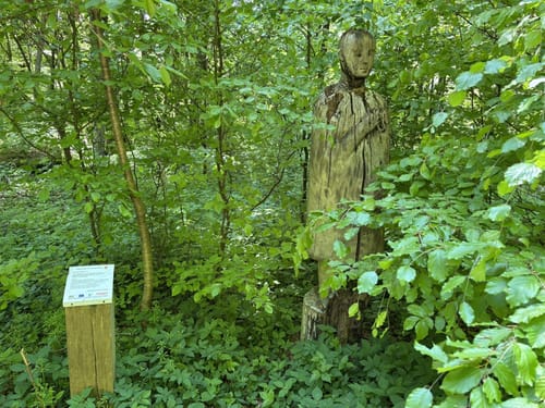 Banzer Wald - Kloster Banz - Banzberg