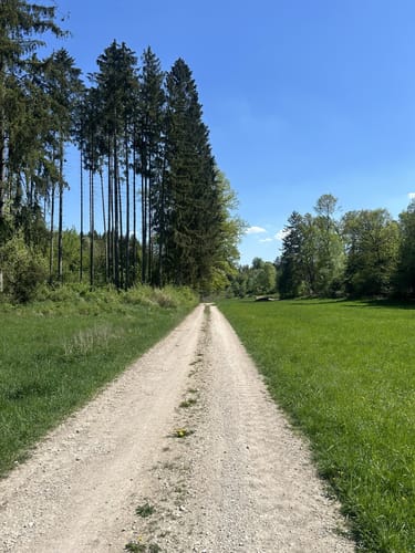Kasing - Pyramidenfeld - Jakobs-Rast