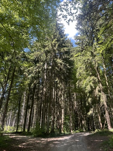 Kasing - Pyramidenfeld - Jakobs-Rast