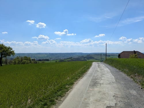Kübelberg Weg RT26