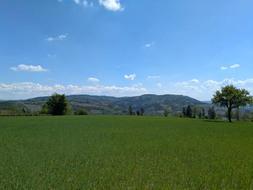 Kübelberg Weg RT26