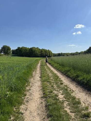 Reken um Waldkapelle
