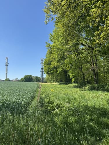 Reken um Waldkapelle