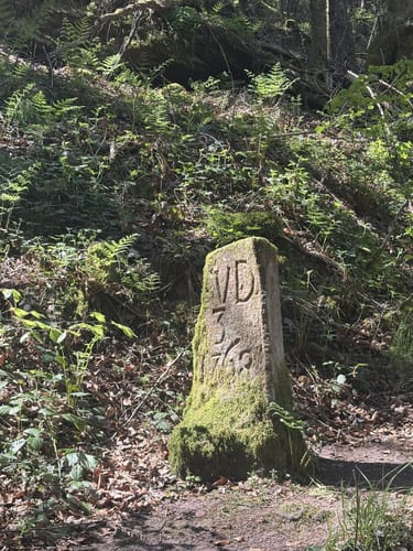 Erfenstein: Drei Burgenweg