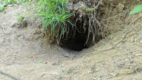 Aurich: Großglattbach - Kreuzbach
