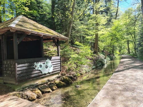 Fürstenwald ab Ochsenhausen