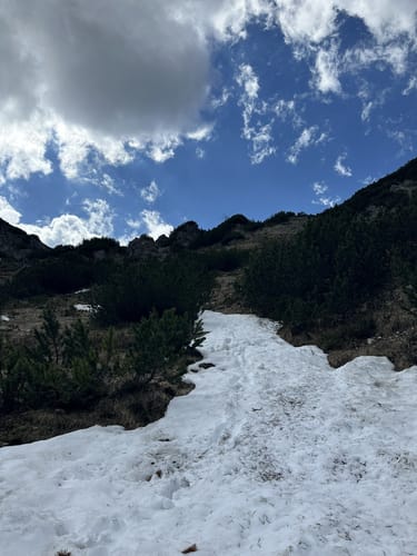 Kienjoch